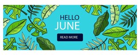 你好6月