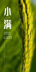 小满