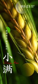 小满