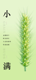 小满