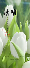 清明节