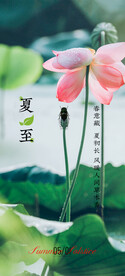 夏至
