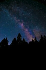 晚上树与星空