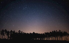 树与星空