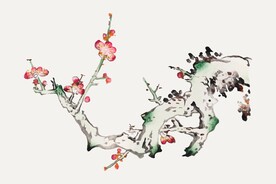 国画植物素材