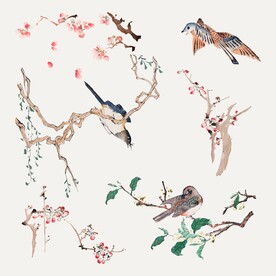 中式花鸟素材