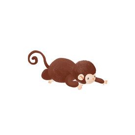 猴子