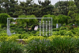 公园风景 