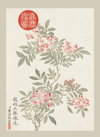 传统节气花卉