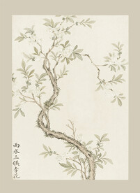 传统节气花卉