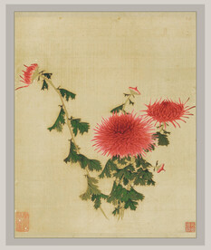 国画菊花系列