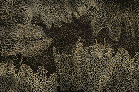 植物干枯纹理背景