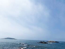大海