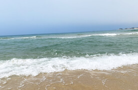 海浪花