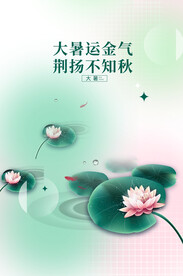 大暑节气海报   