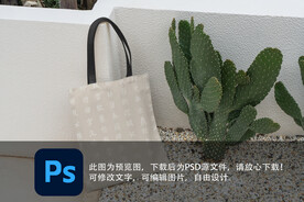 手提袋样机