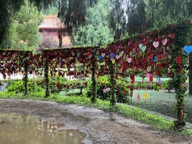 许愿树
