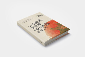 硬壳书籍VI样机