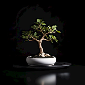 盆栽素材