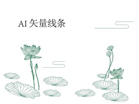 荷花