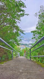 公园手机壁纸摄影