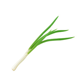 大葱