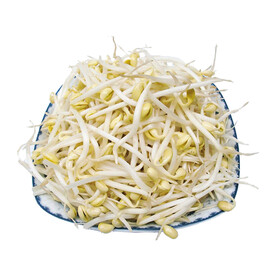 黄豆芽