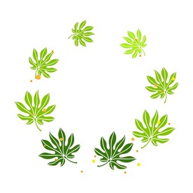 植物叶子边框  