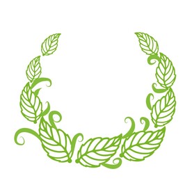植物叶子边框