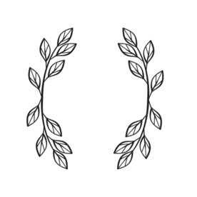 花纹 花边  
