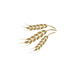麦穗