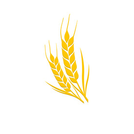 麦穗