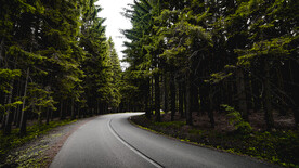 林间公路