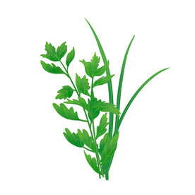 艾草