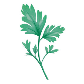艾草