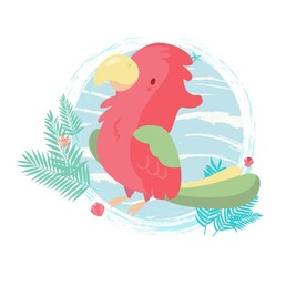 鹦鹉 