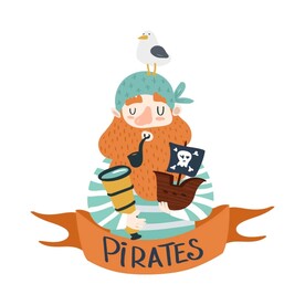 海盗 与海鸥