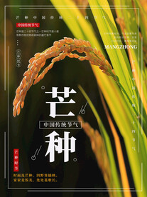芒种海报