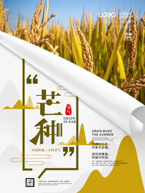 芒种海报