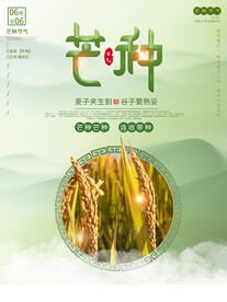 芒种海报
