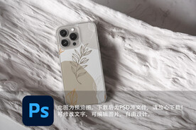 手机壳样机