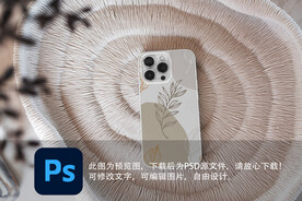 手机壳样机