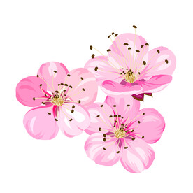 手绘花朵