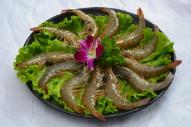 鲜虾食材