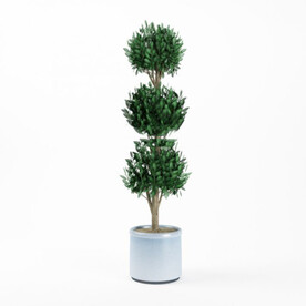 C4D模型绿色植物