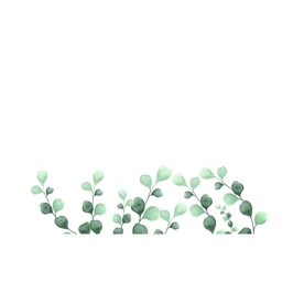 水彩植物边框
