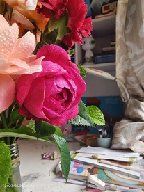 花瓣鲜花
