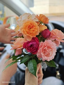 一束花