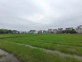 田野风光