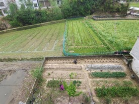 田野菜地